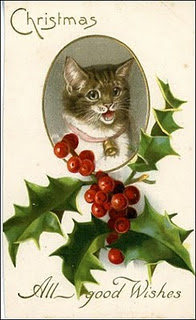 Victorian cat with holly and holly berries